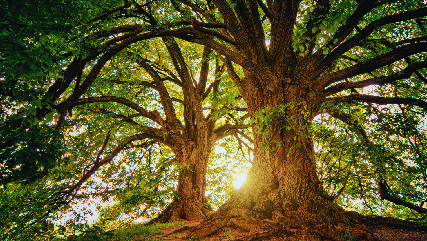 jones-ministries-blog