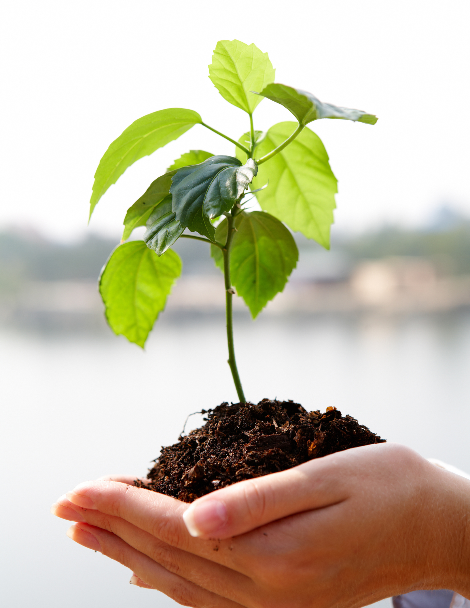 Coaching – grow Coaching - grow